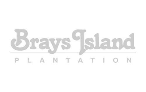 brays