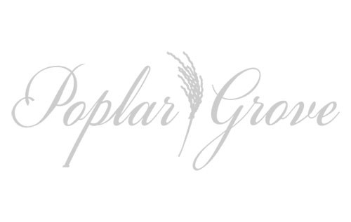 poplar