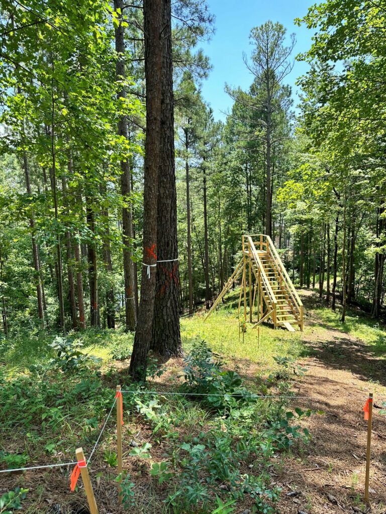 build on your lot greenville